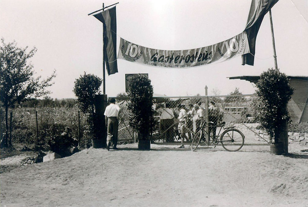 Banner 10-jähriges Bestehen