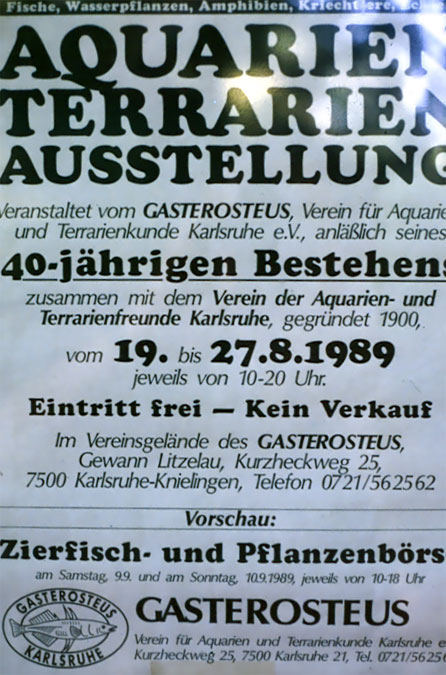 Programmplakat 40-jähriges Bestehen